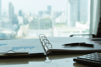 Section 83(b) Elections on Restricted Stock Awards